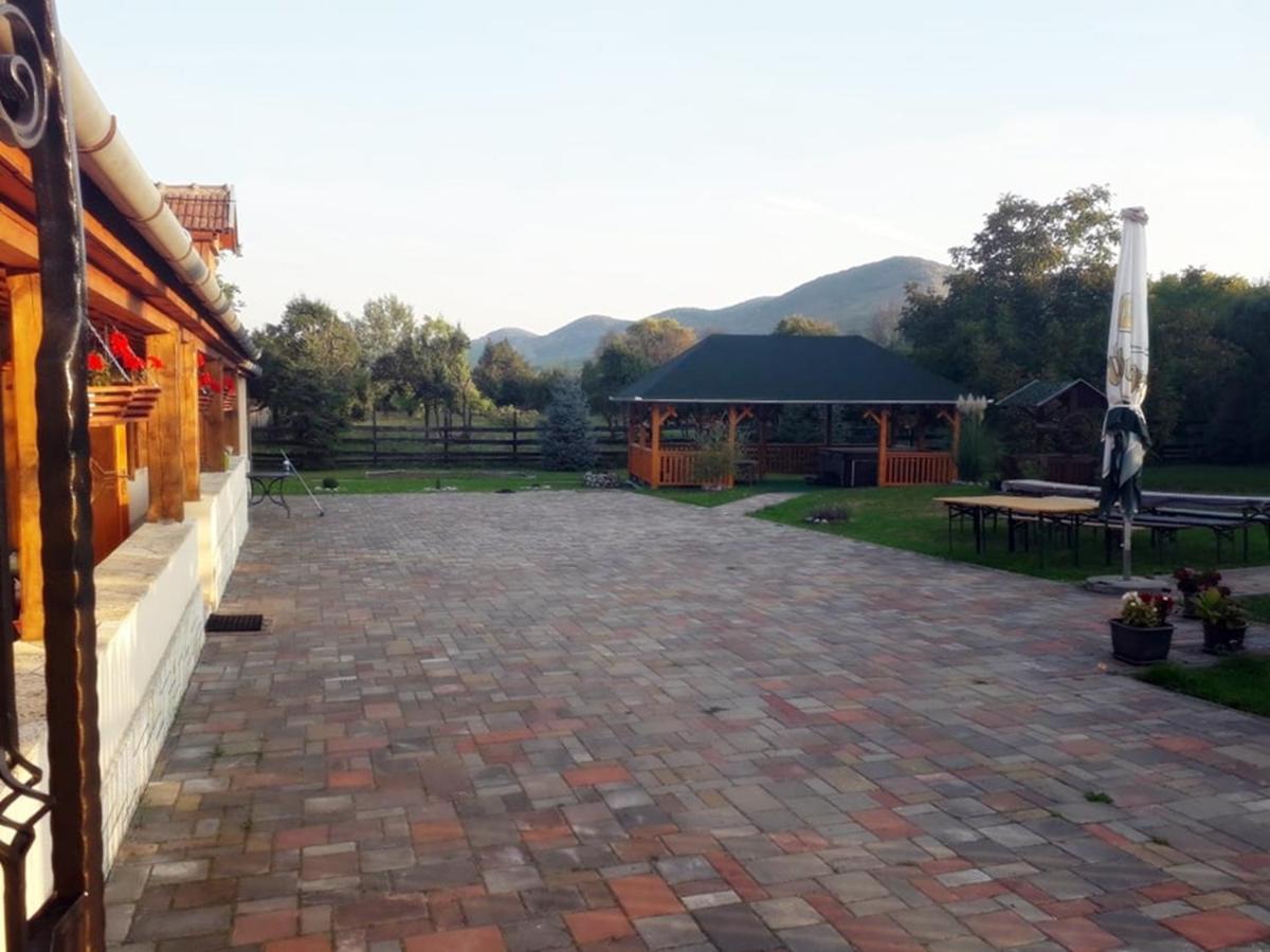 Hegyalja Vendeghaz Apartment Tolcsva Екстериор снимка